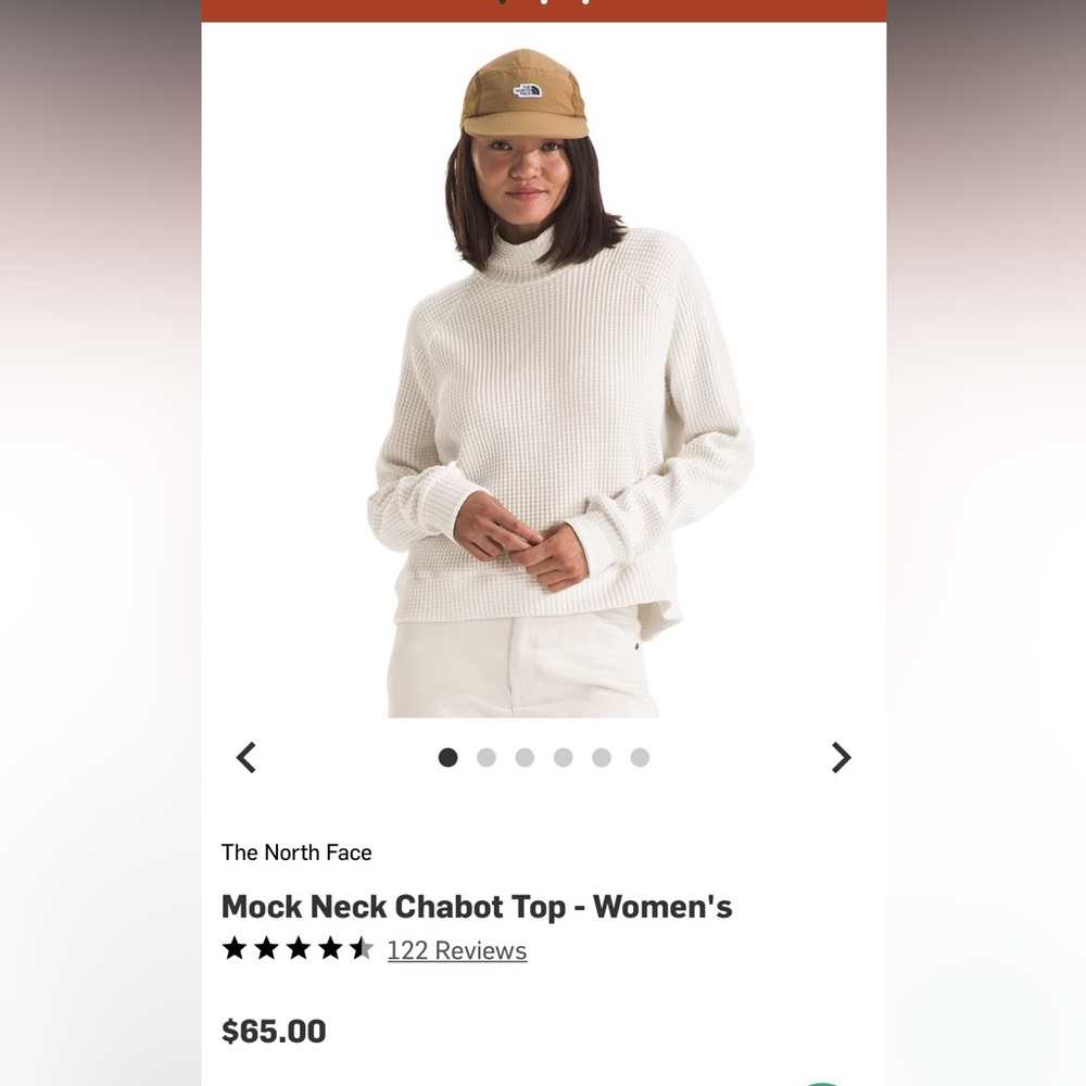 The North Face Mock Neck Chabot Top